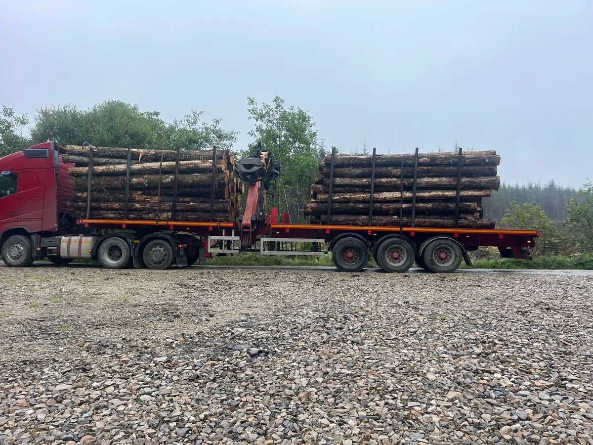 Flat timber trailer - Image 2