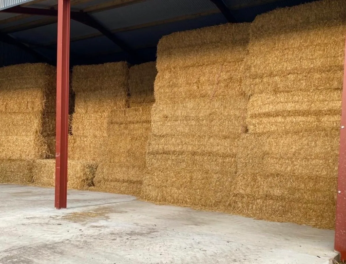 English Barley Straw - Image 1