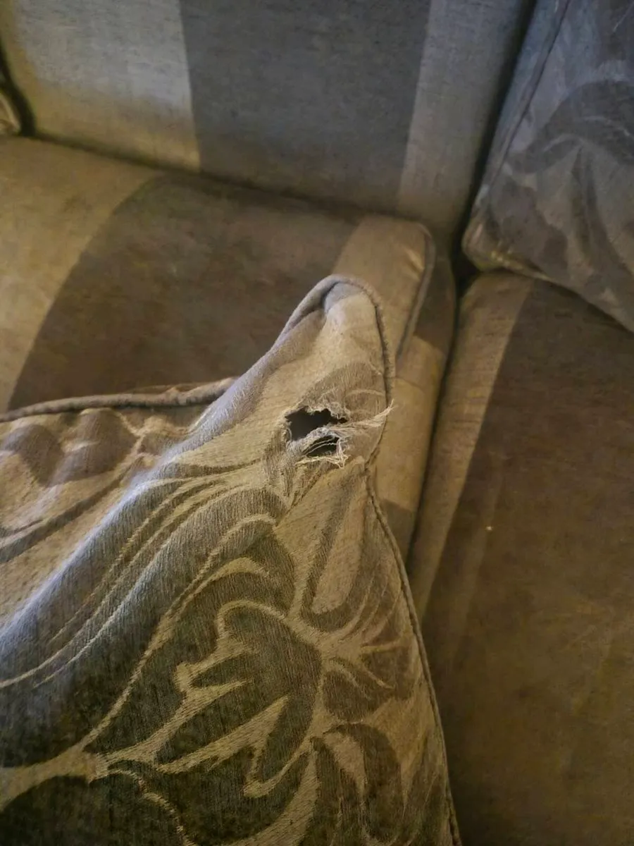 Sofa - Image 2