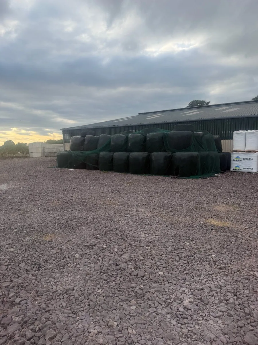 Silage bales