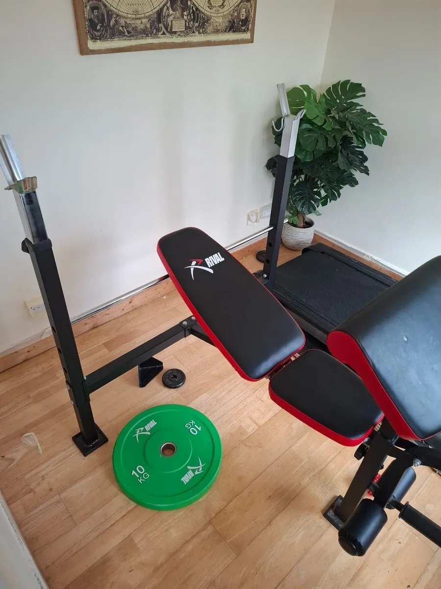 Rival Olympic Weight Bench + 60kg Bumper Plates - Image 4