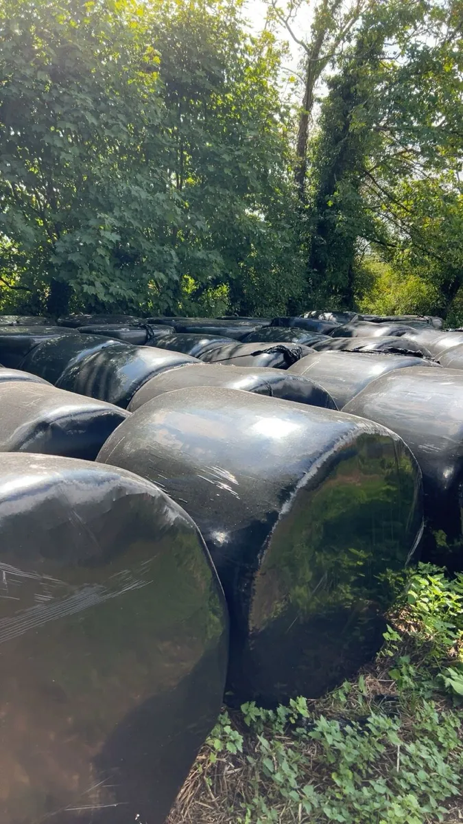 Silage