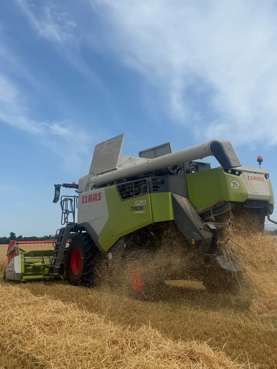 Round 4x4 spring barley&chopped square bale wheat - Image 3
