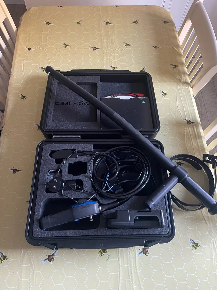 Cow scanning service - Image 2