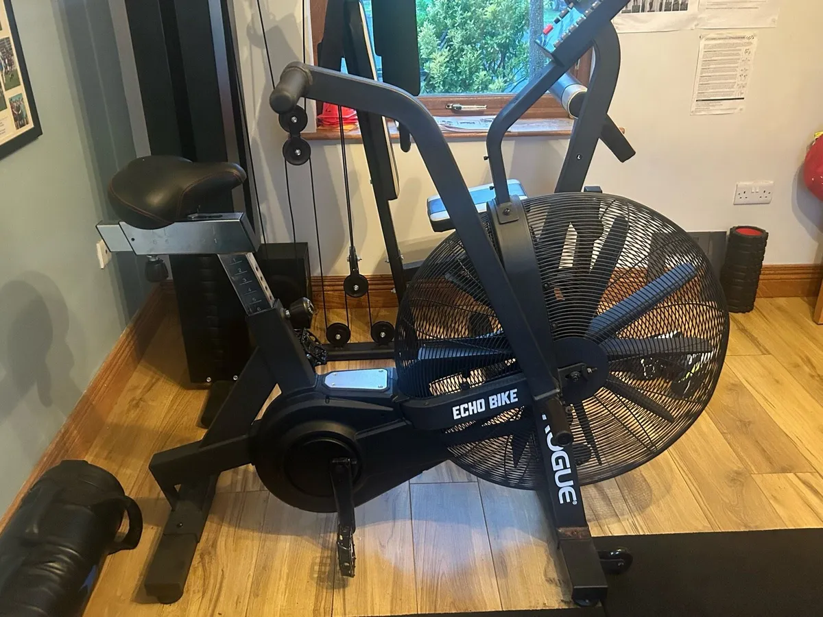 Rogue echo assault bike - Image 3