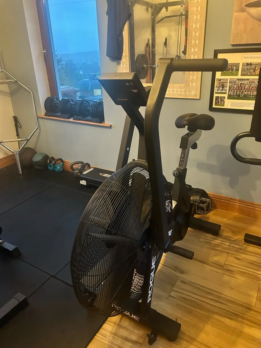 Rogue echo assault bike - Image 1