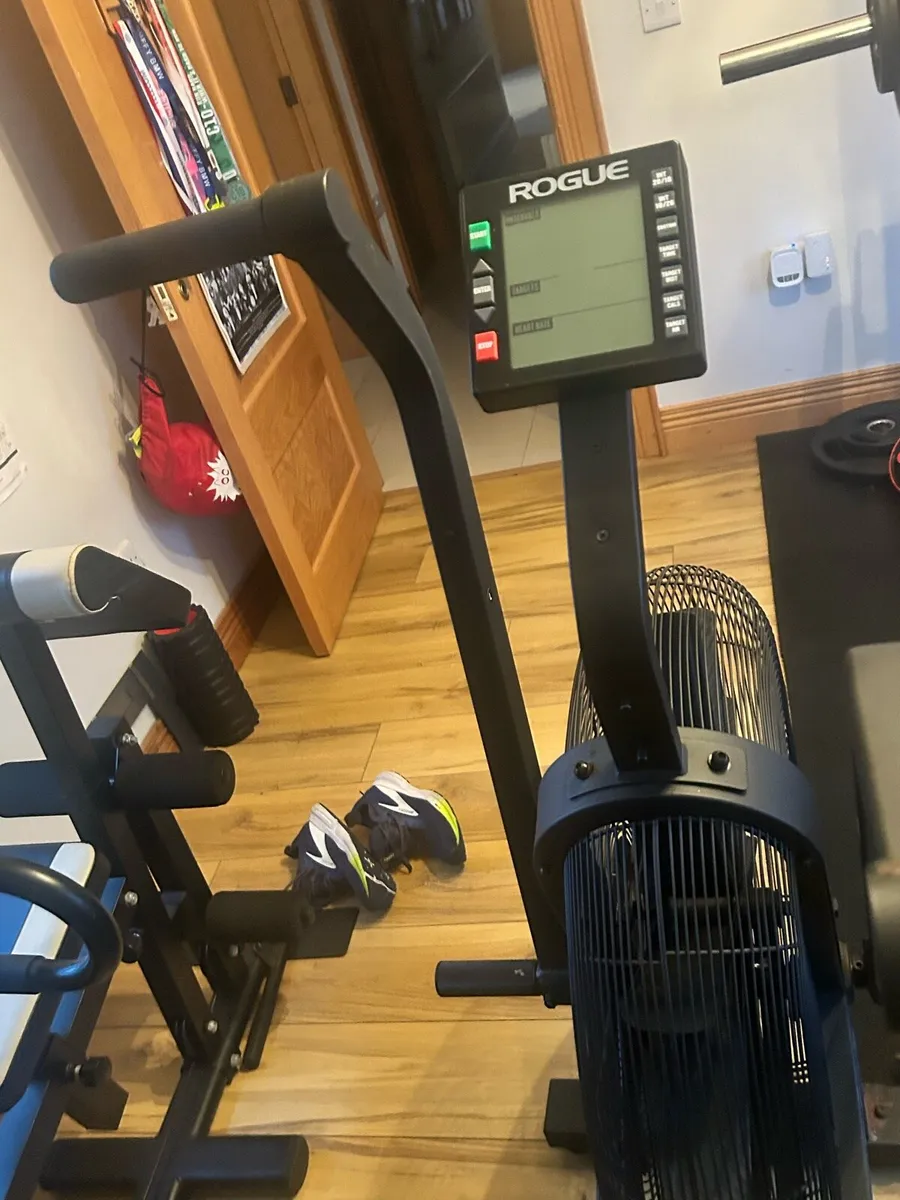 Rogue echo assault bike - Image 2