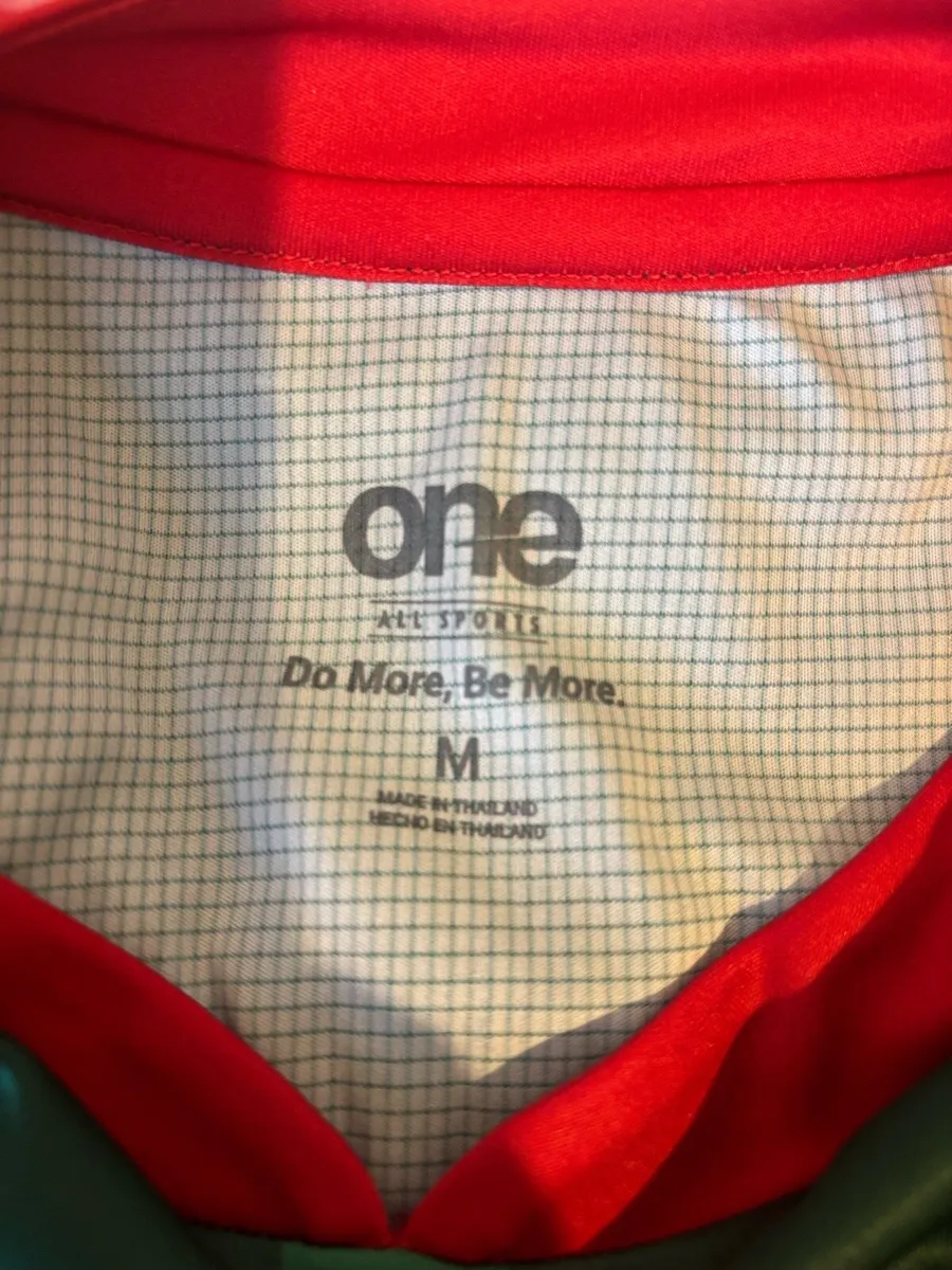 Cameroon World Cup 2022 Home Jersey - Image 3