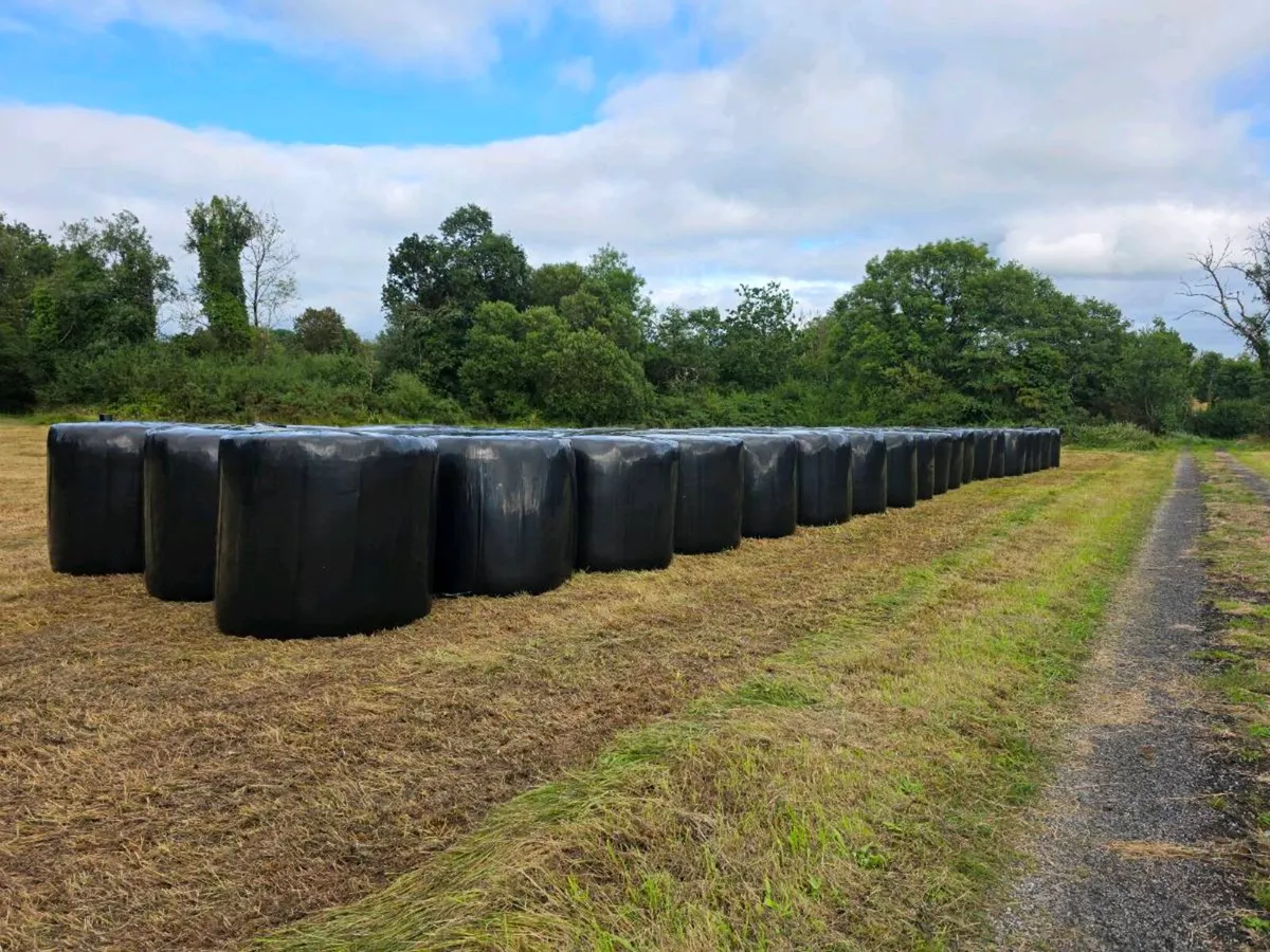 Silage bales - Image 2
