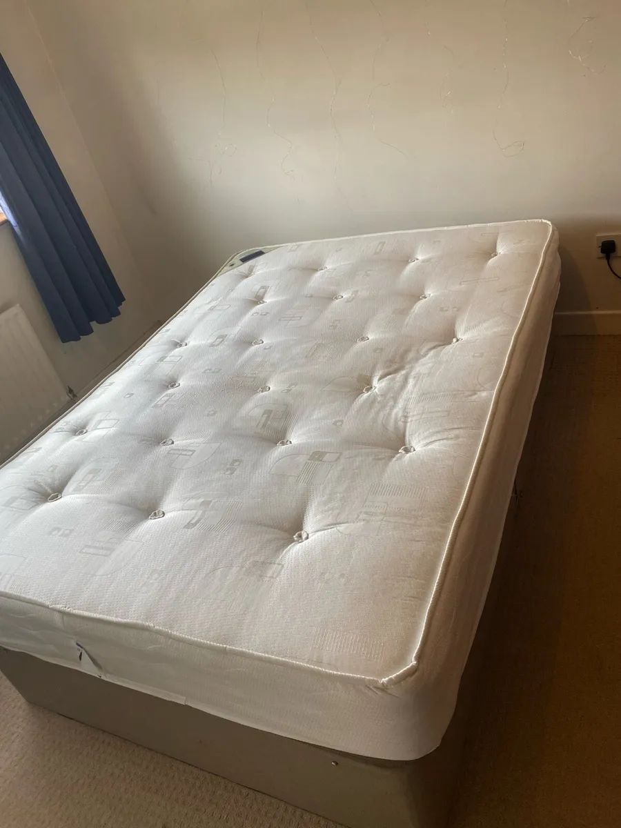 Divane Bed - Image 2