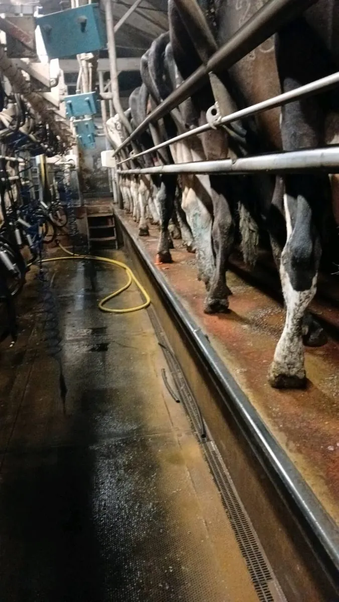 Work available on a dairy farm - Image 1