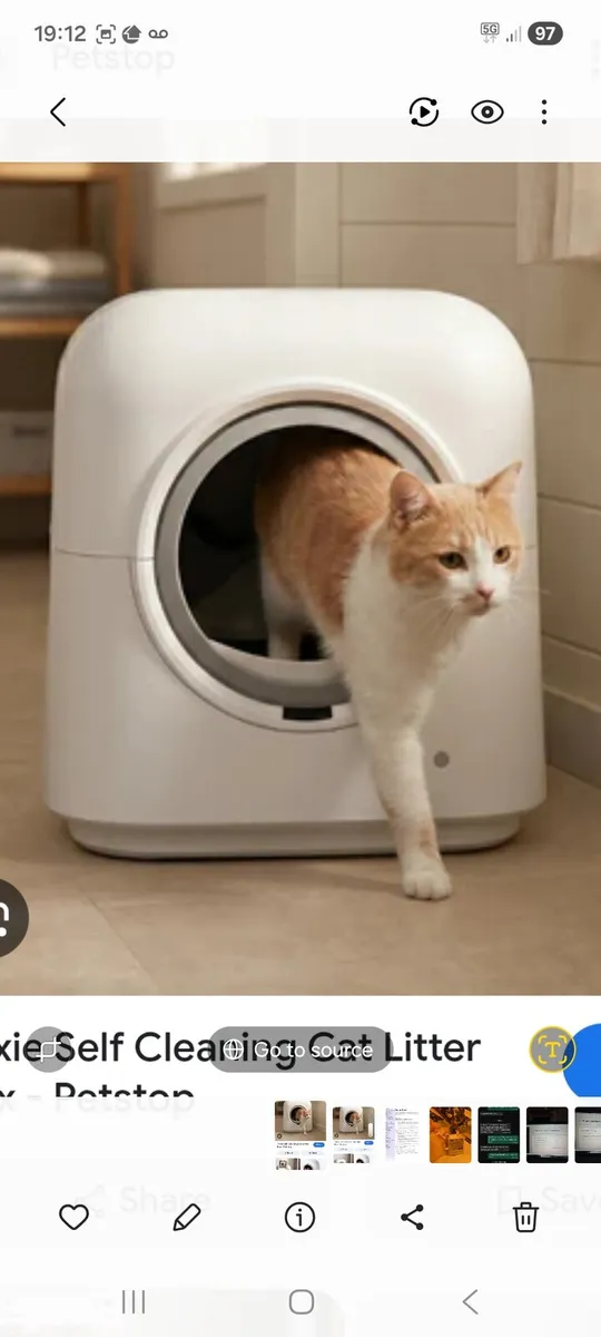 Automatic cat litter