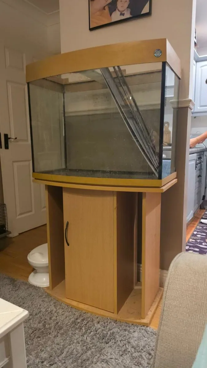 Fish tank