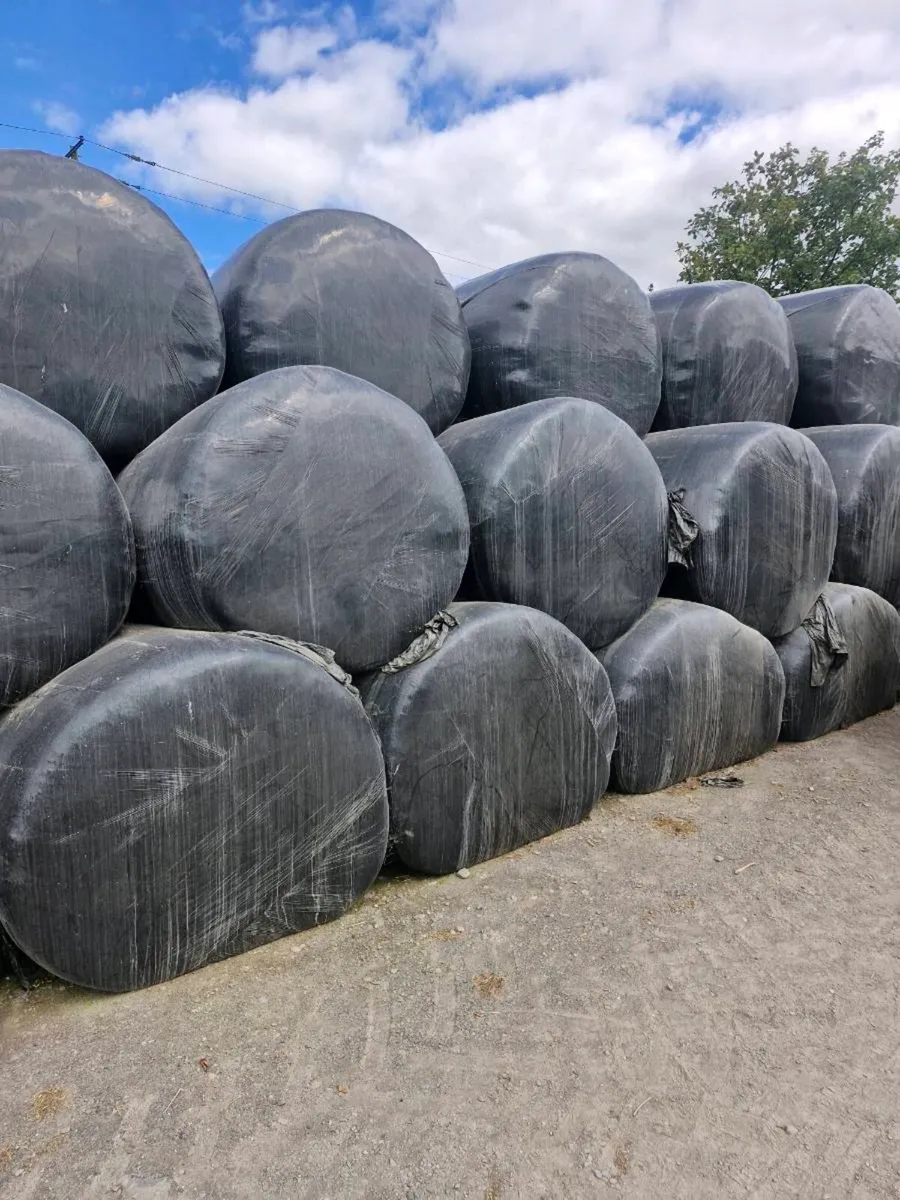 Silage bales