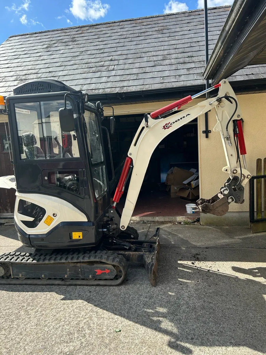 Mini digger - Image 2