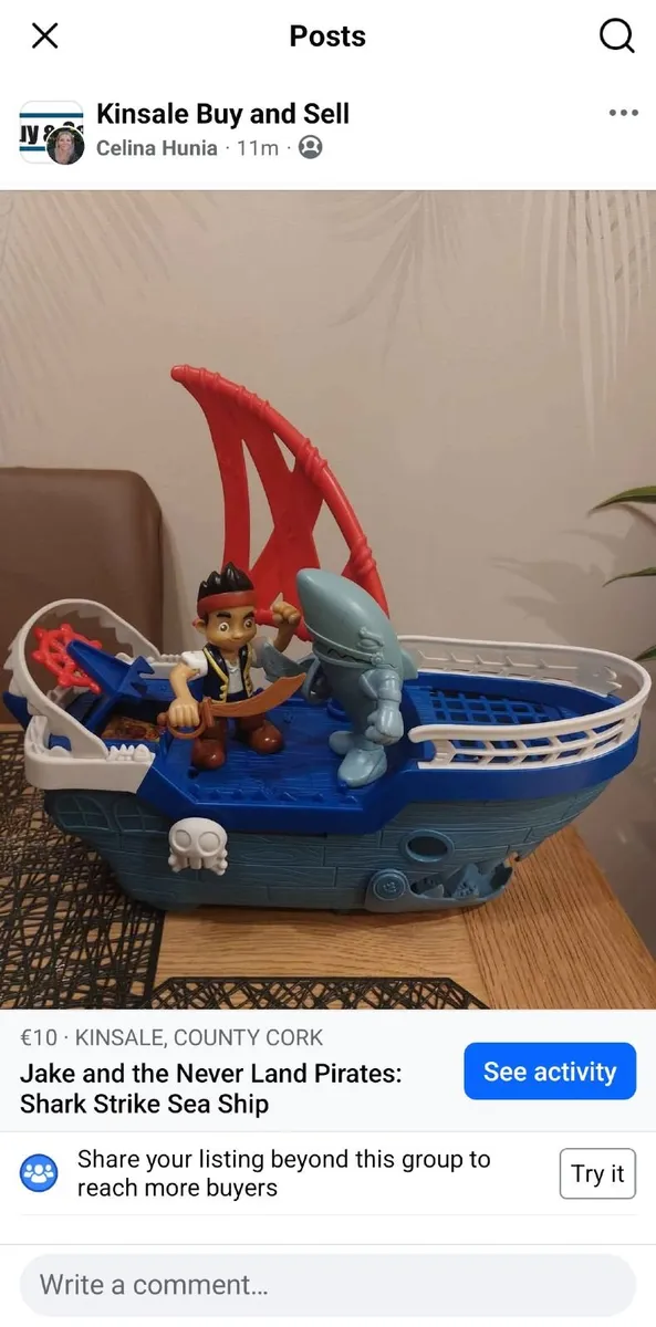Pirate ship
