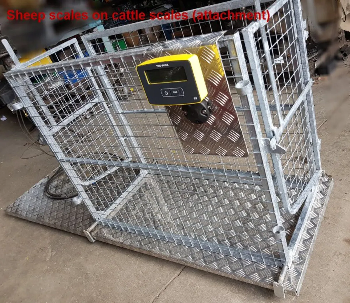 Crush, scales - Image 3