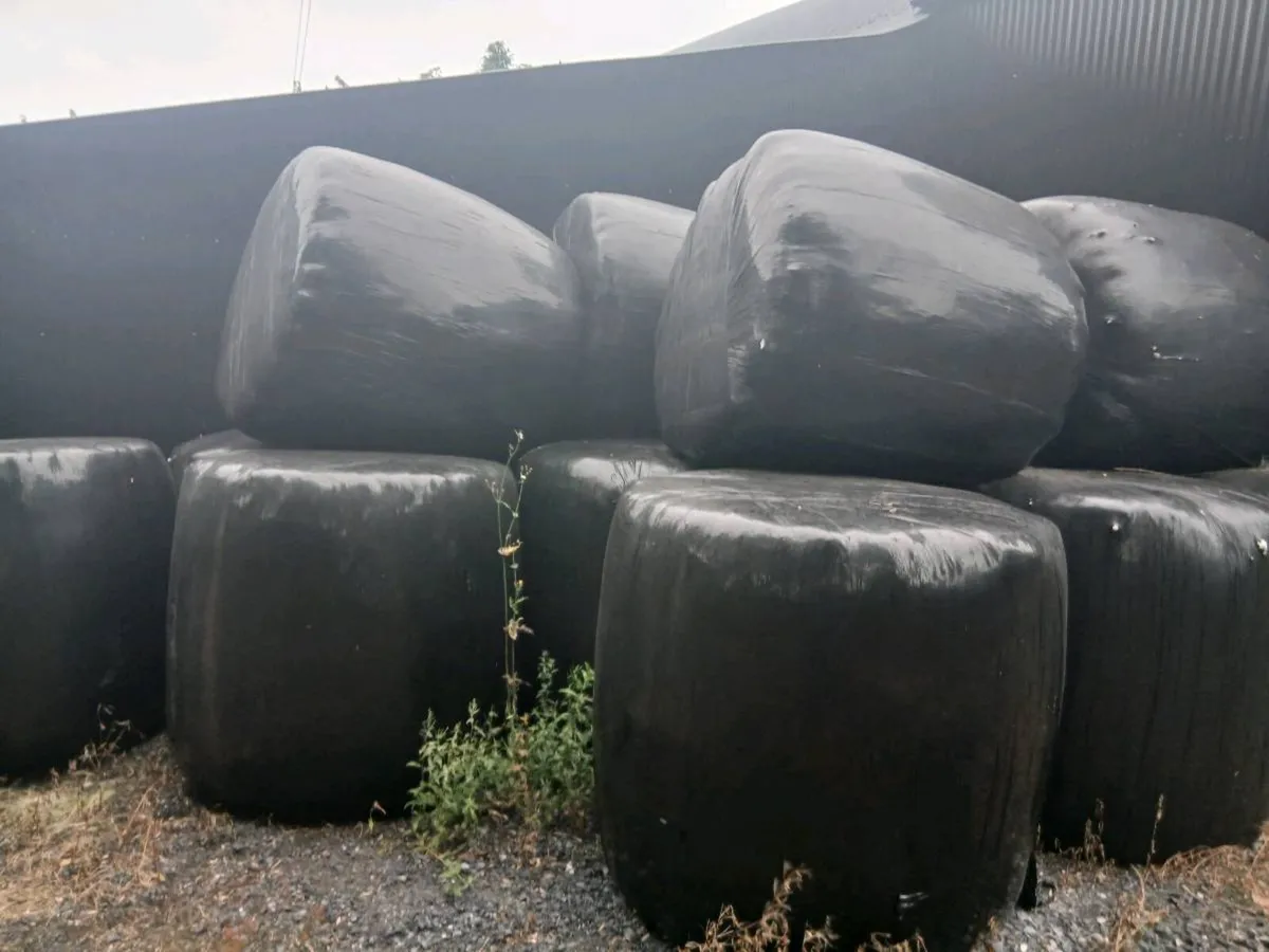 Round Bales of haylage for Sale
