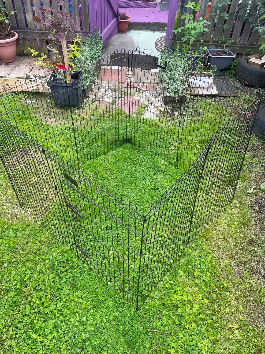 5ft sq garden enclosure  suit dog, chicken ,rabbit