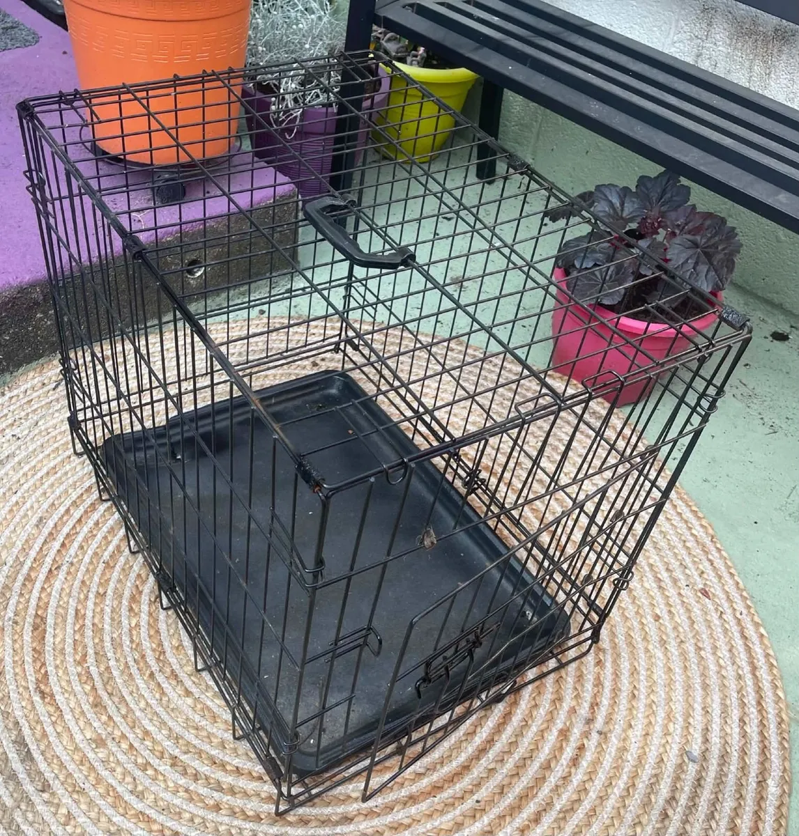dog or cat crate