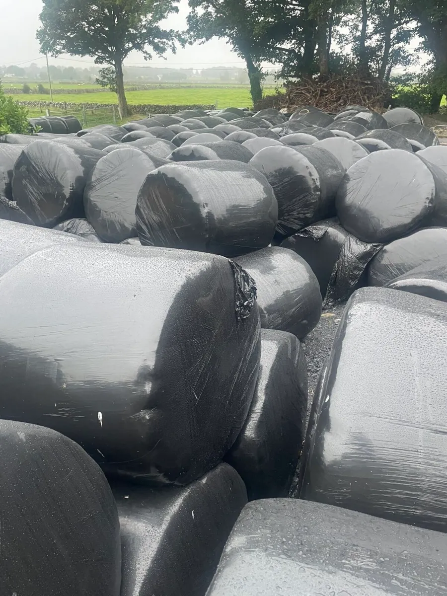 Silage