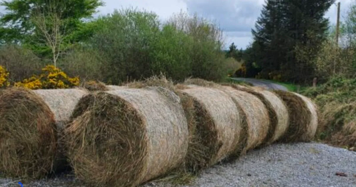 Bales of rushes free to take away