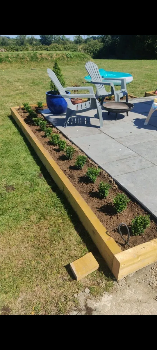Box Hedging - Image 3