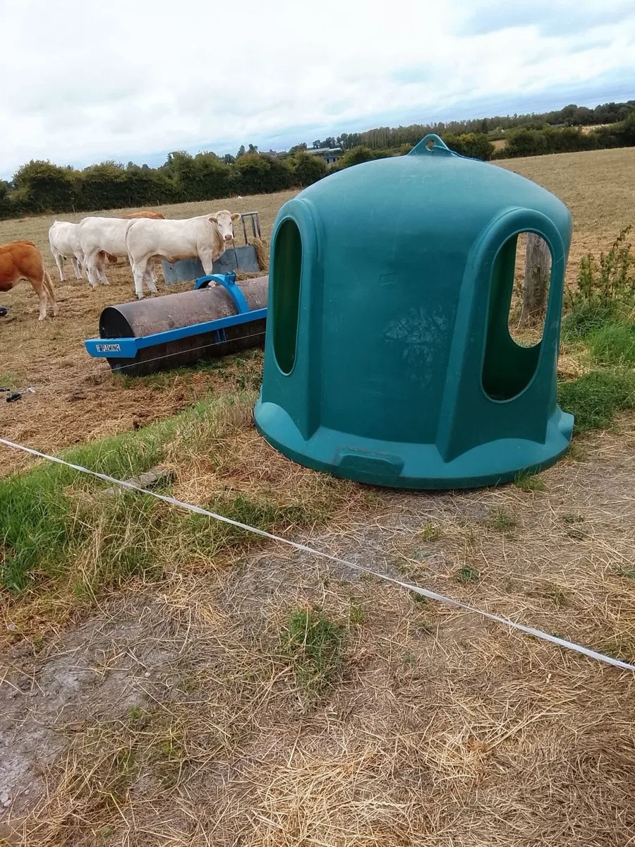 Haybell - Image 3