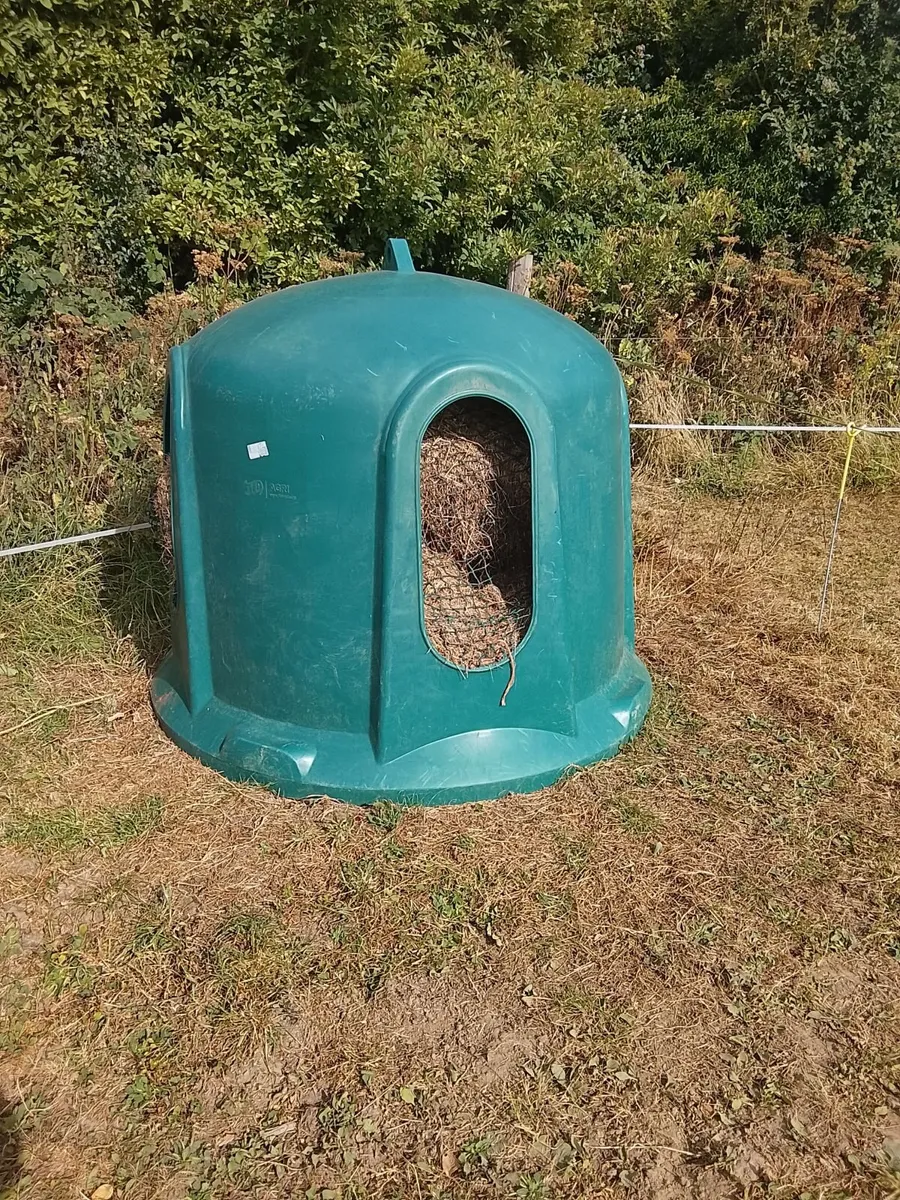 Haybell - Image 4