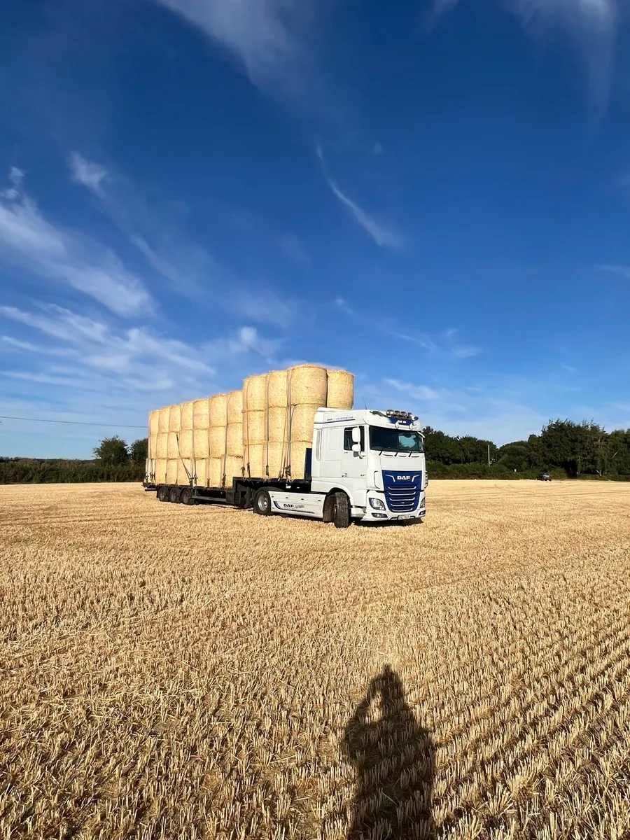 Round bales of winter barley straw. - Image 1