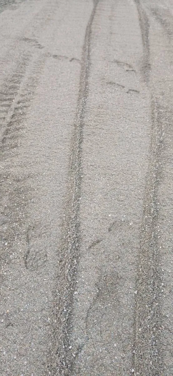 Equestrian silver sand - Image 1