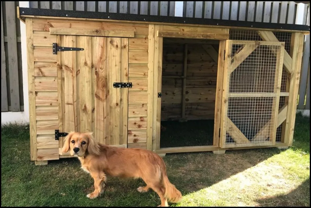 Dog Kennel & Enclosures - Image 4