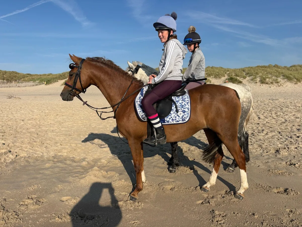 Allrounder 133 sj/whp/pc pony - Image 1