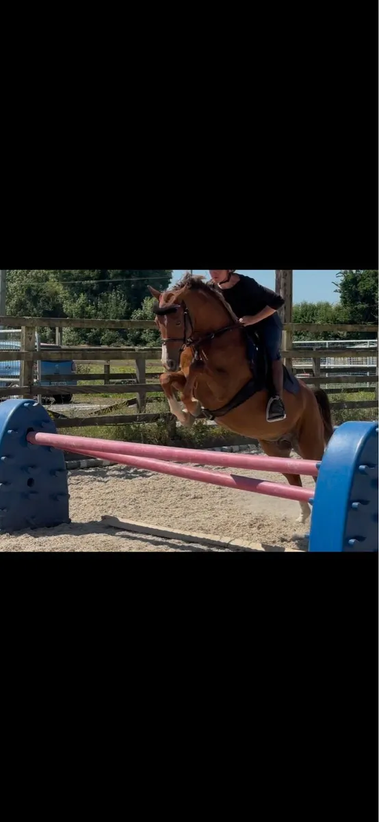 Allrounder 133 sj/whp/pc pony - Image 2