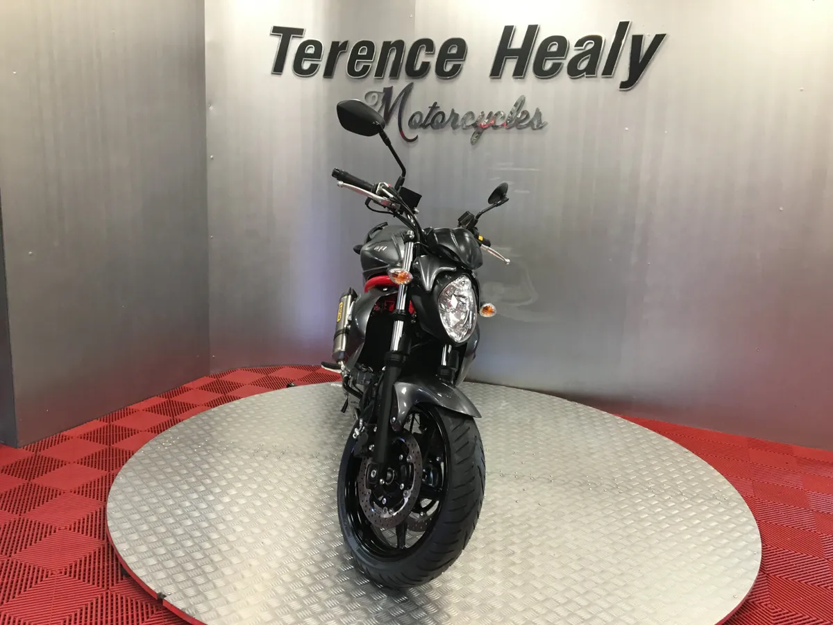 2016 Suzuki SV650 GLADIUS - Image 3