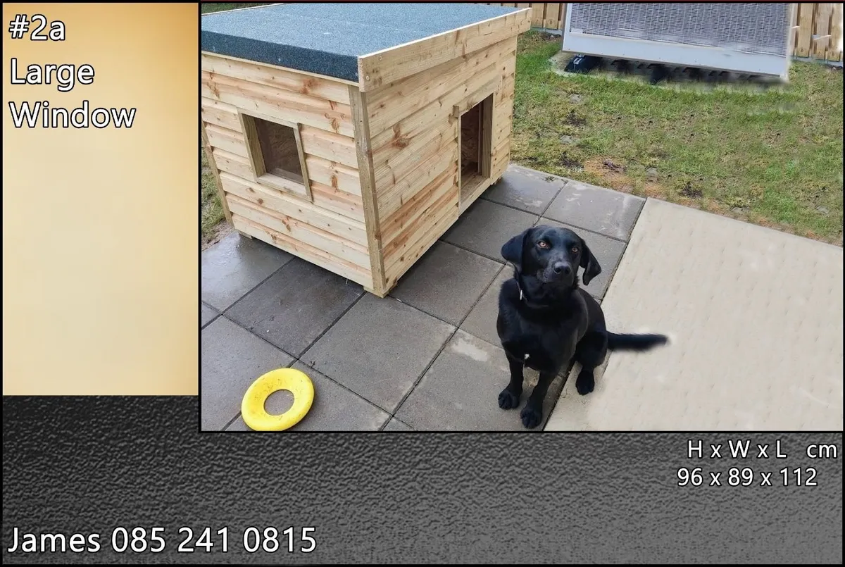 Luxury Dog Kennels - Image 4