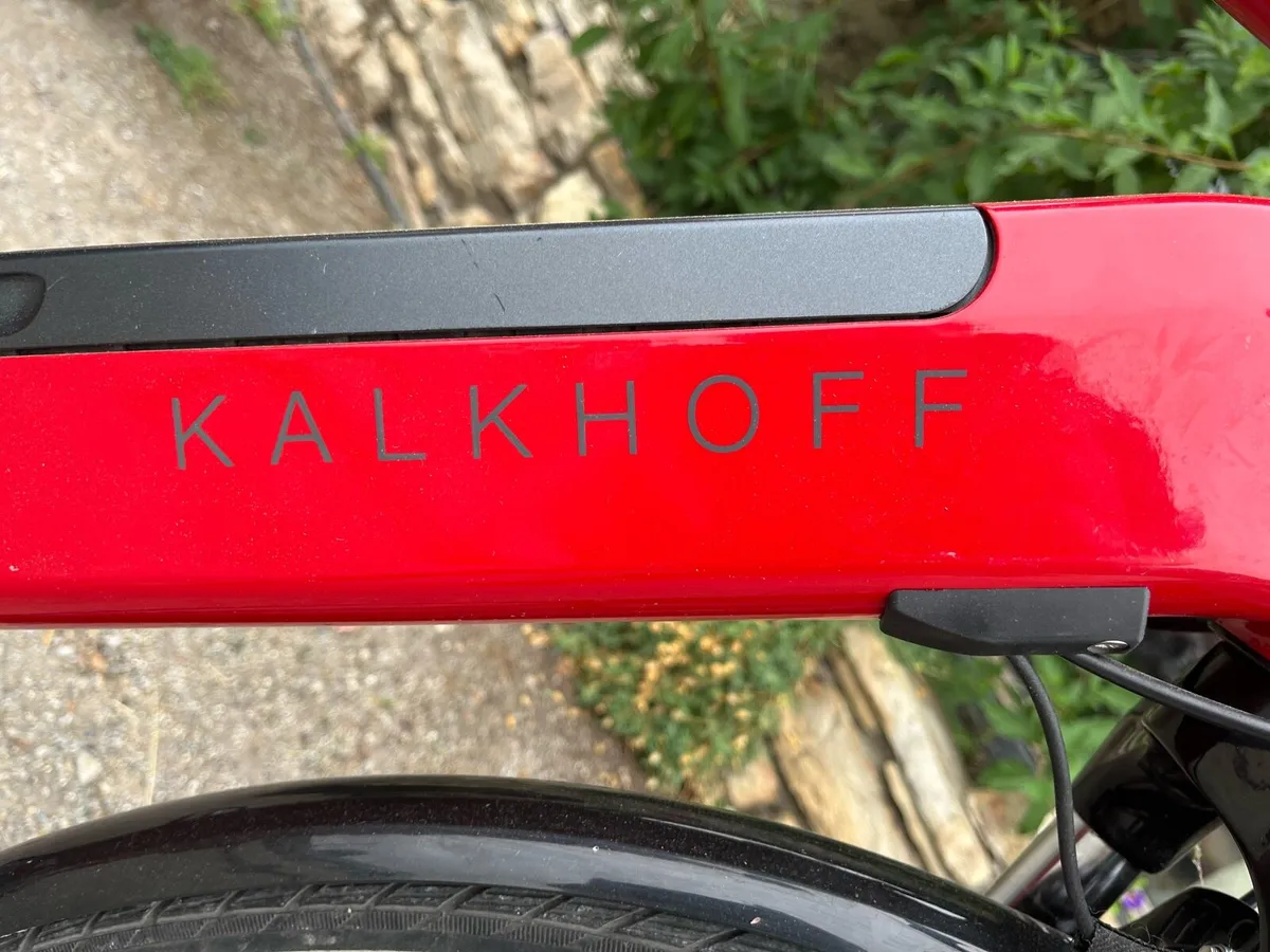 Electric Bike - Image 2