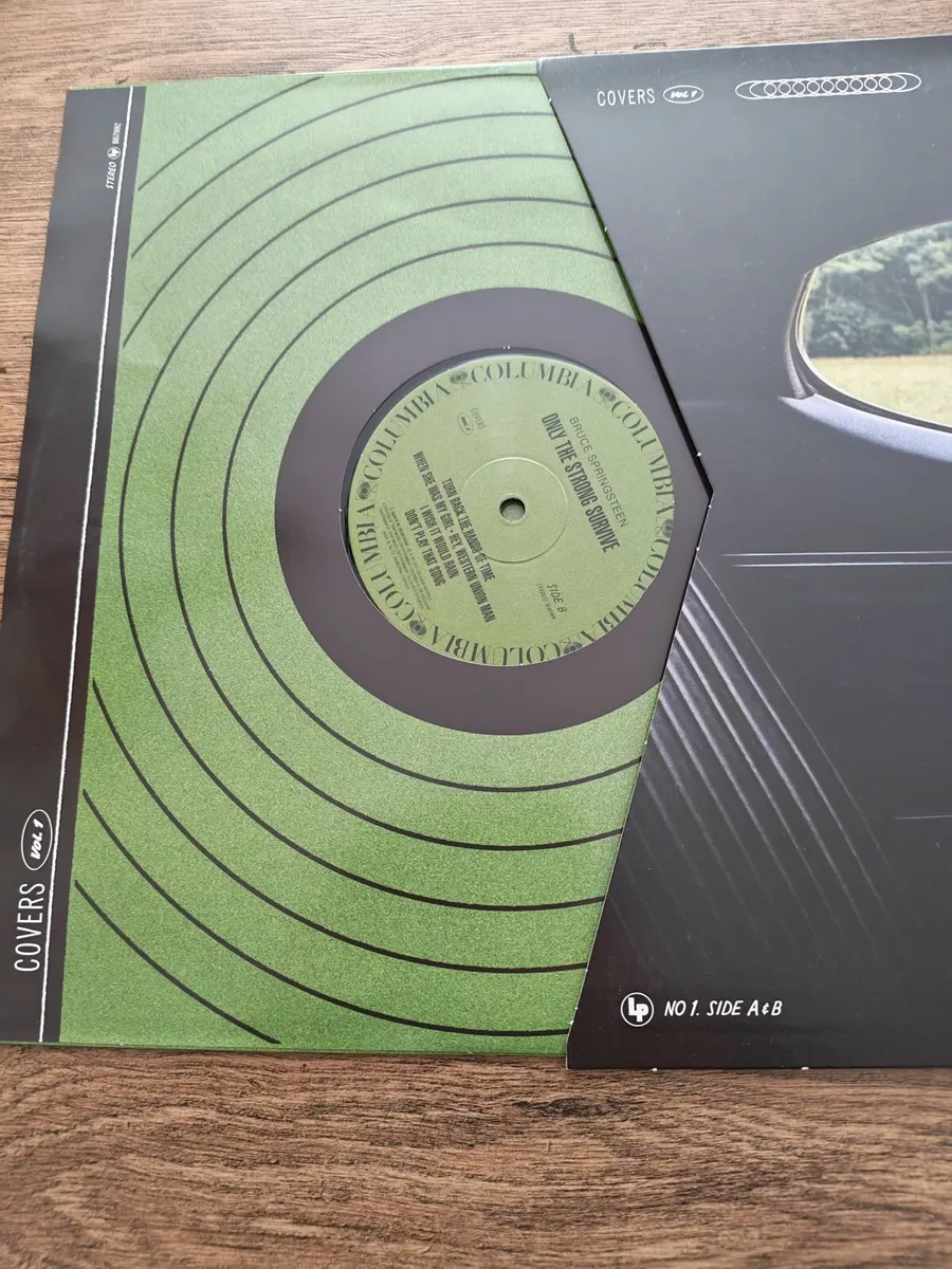 Vinyl  Record - Image 4