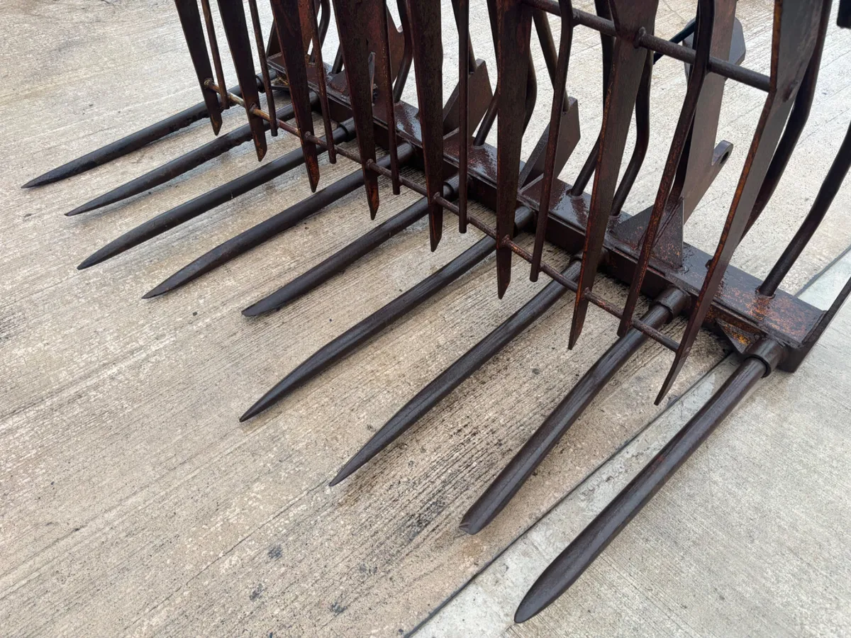 Pin & cone Buckrake / push off fork - Image 3