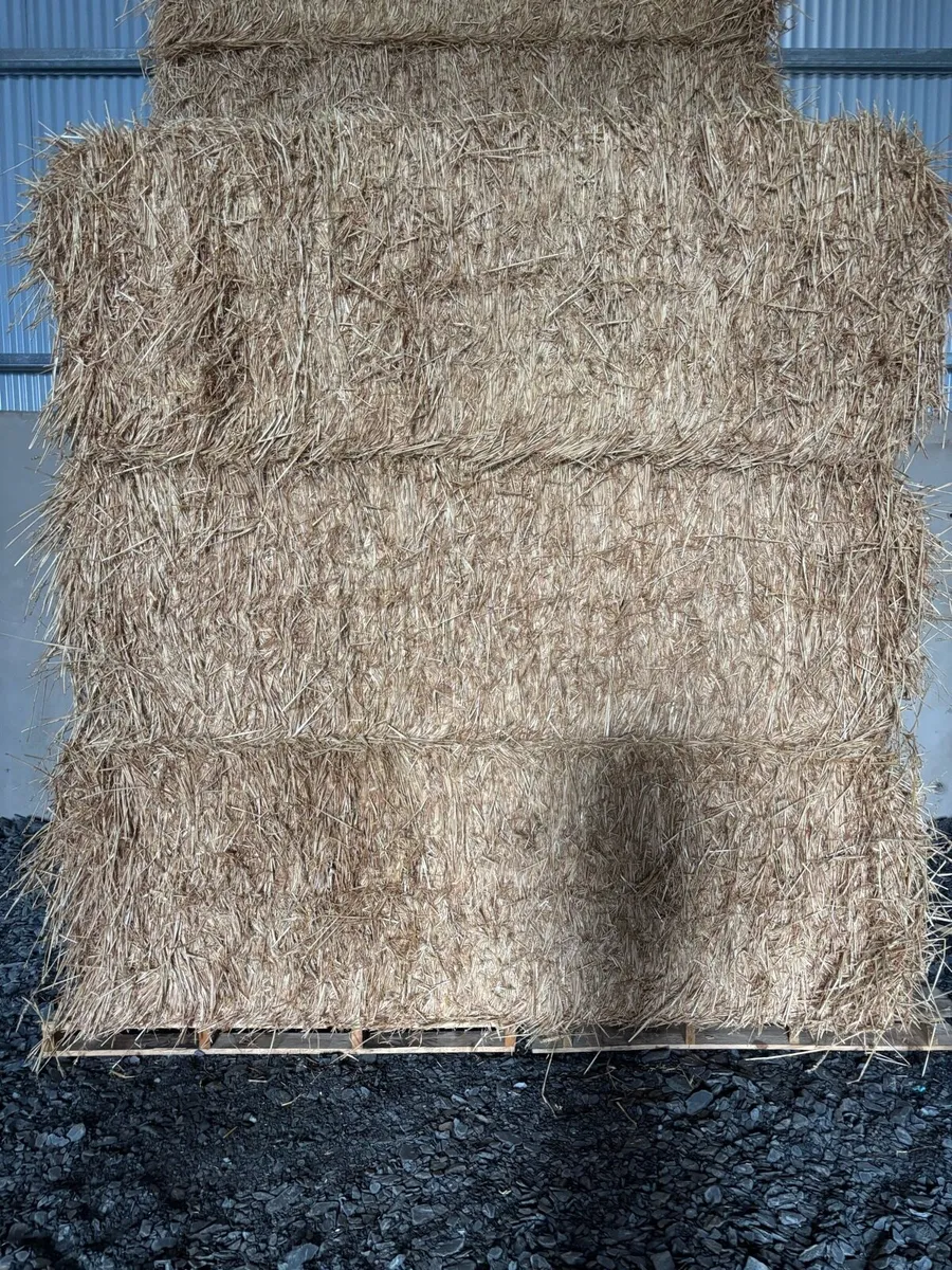 Straw - Image 1