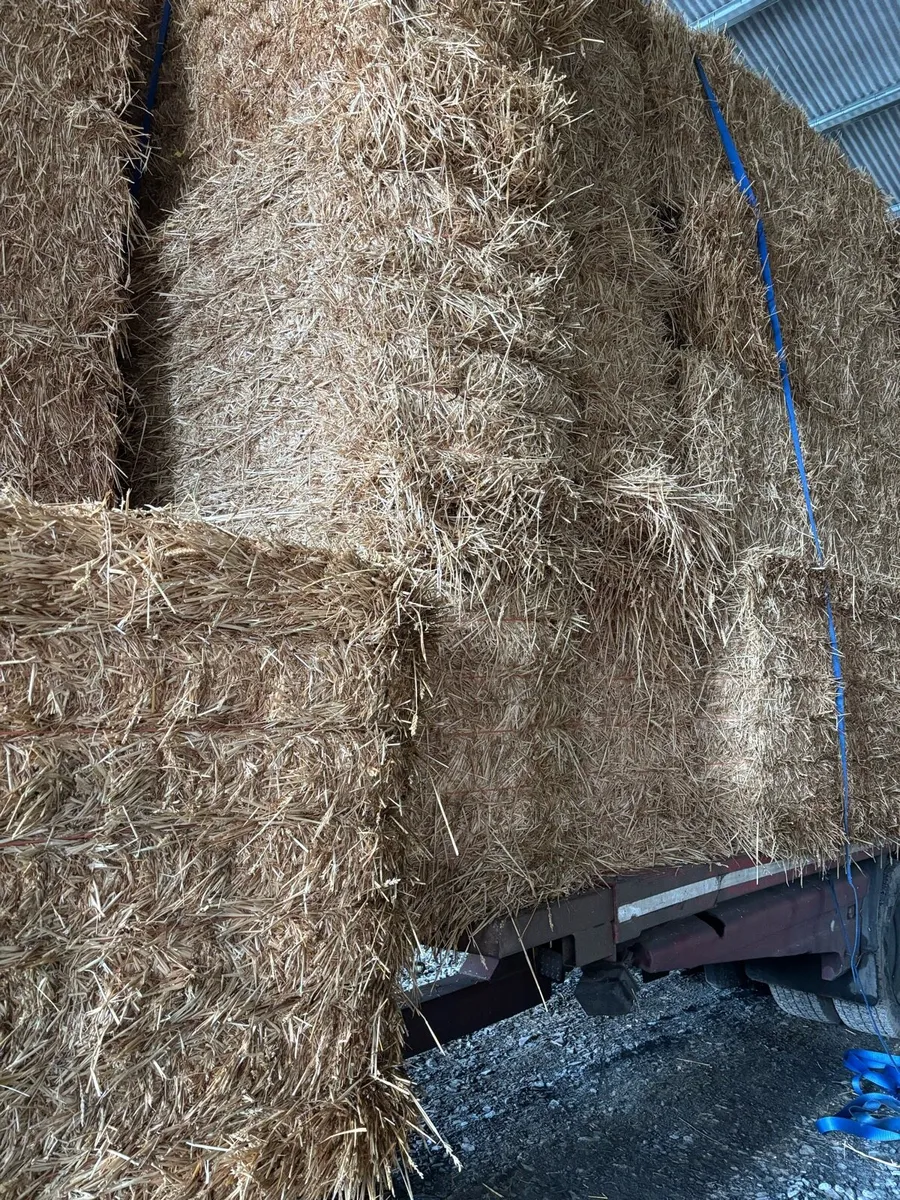 Straw - Image 2