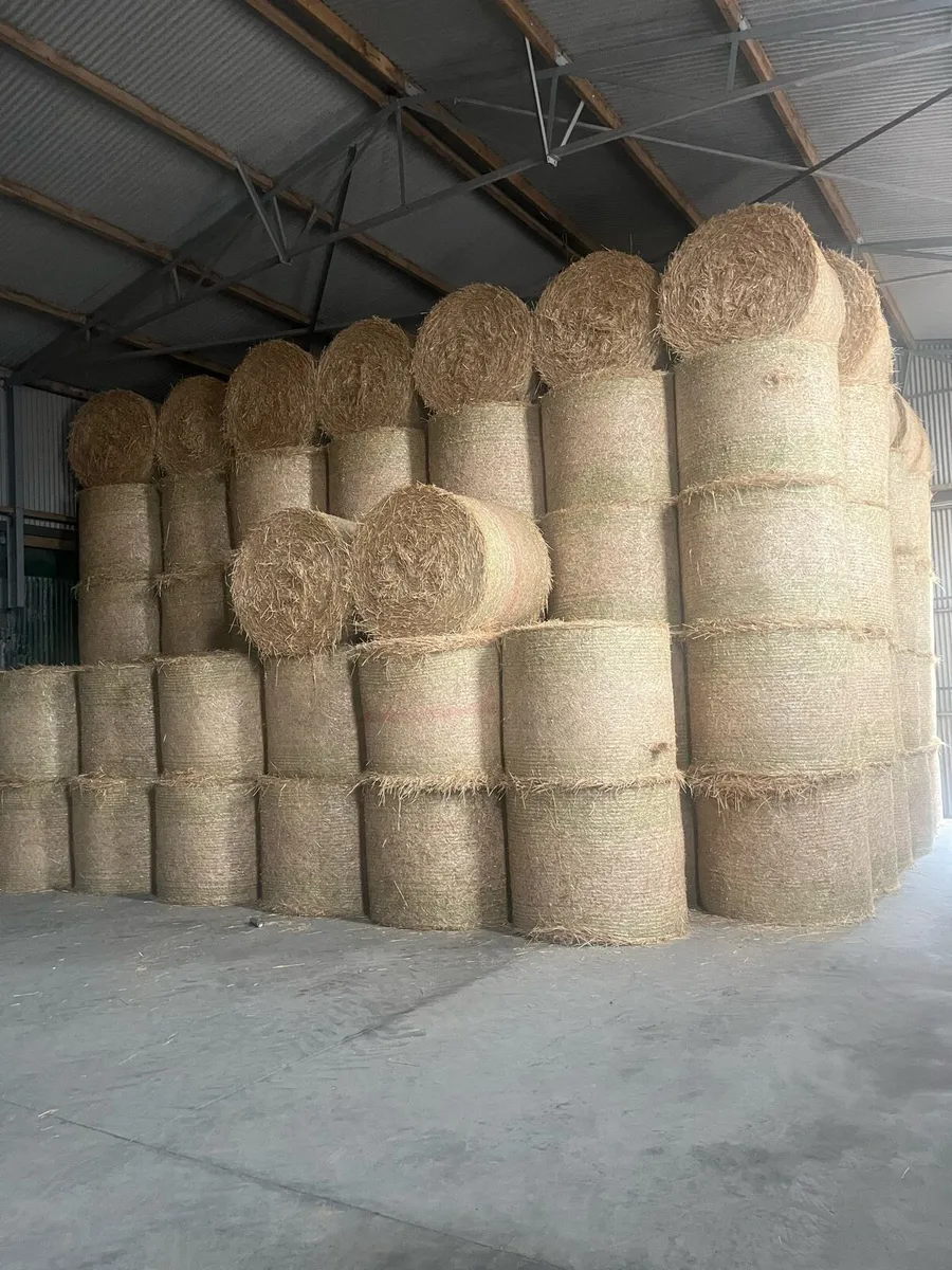 Straw for sale - Image 2