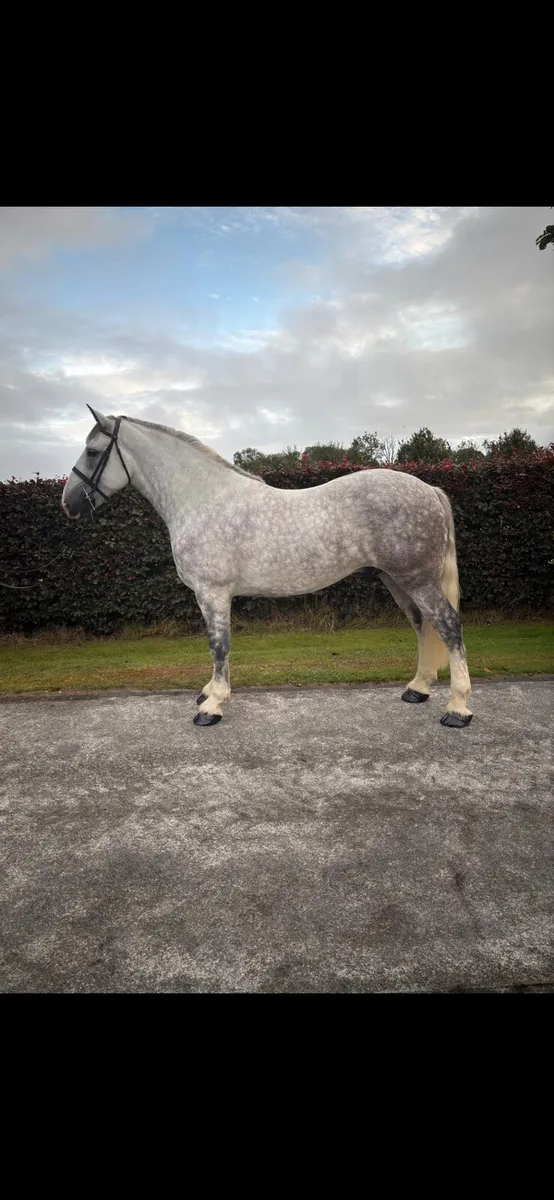 George - Image 1