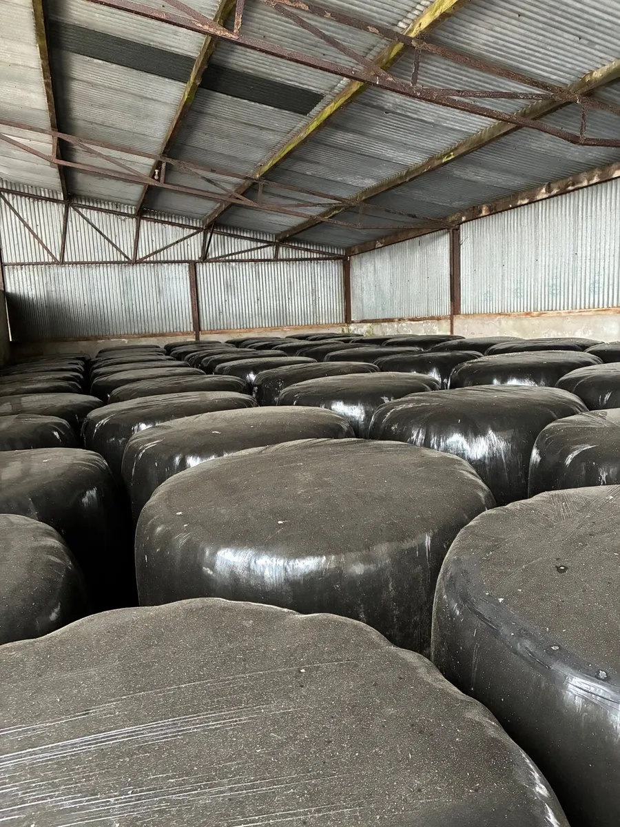Silage - Image 2
