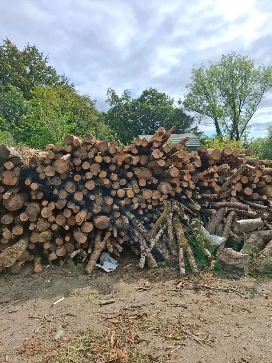 Firewood - Image 3