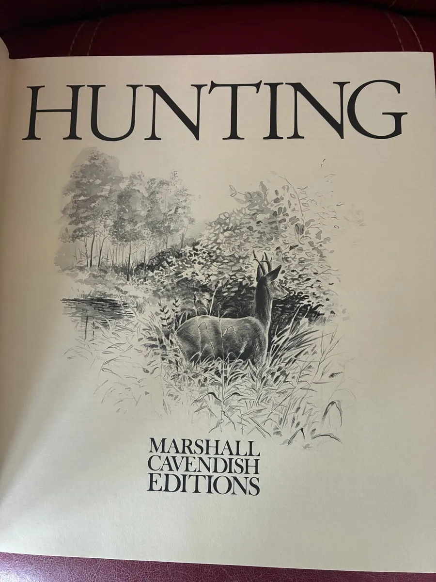 Hunting - Image 3