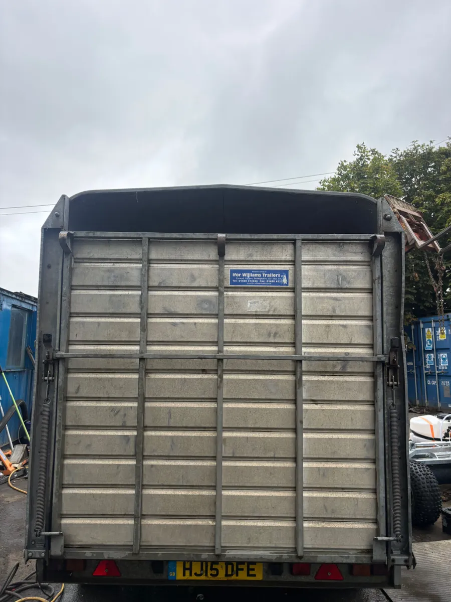 Ifor Williams 10ft dp cattle trailer - Image 3