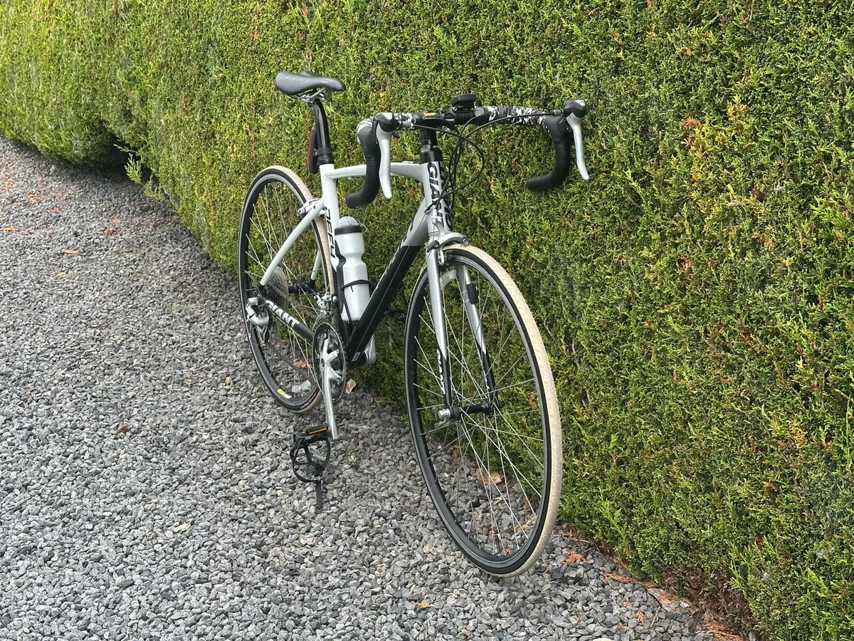 Bike - Image 3