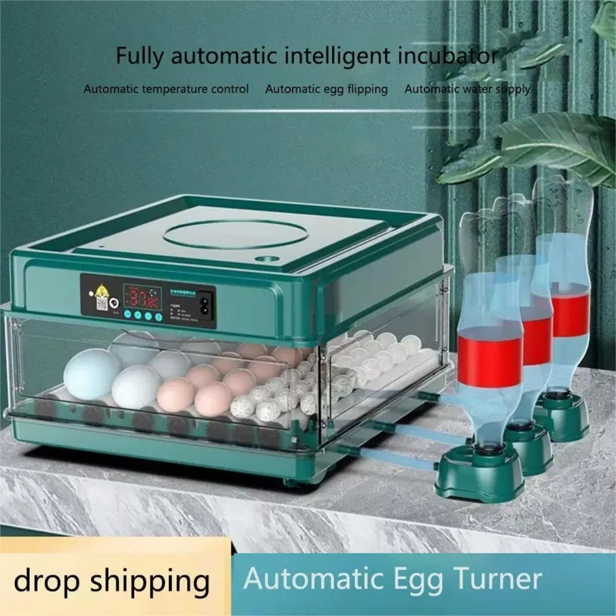 Egg Incubator 24 Egg Smart Hatching Machine - Image 3