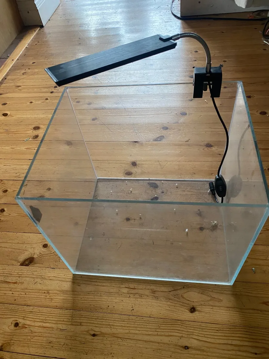 65ltr Aquarium with aquascape and tetras - Image 4